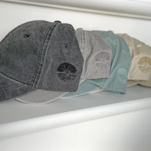 Árbol Pet – Simplicity with Soul