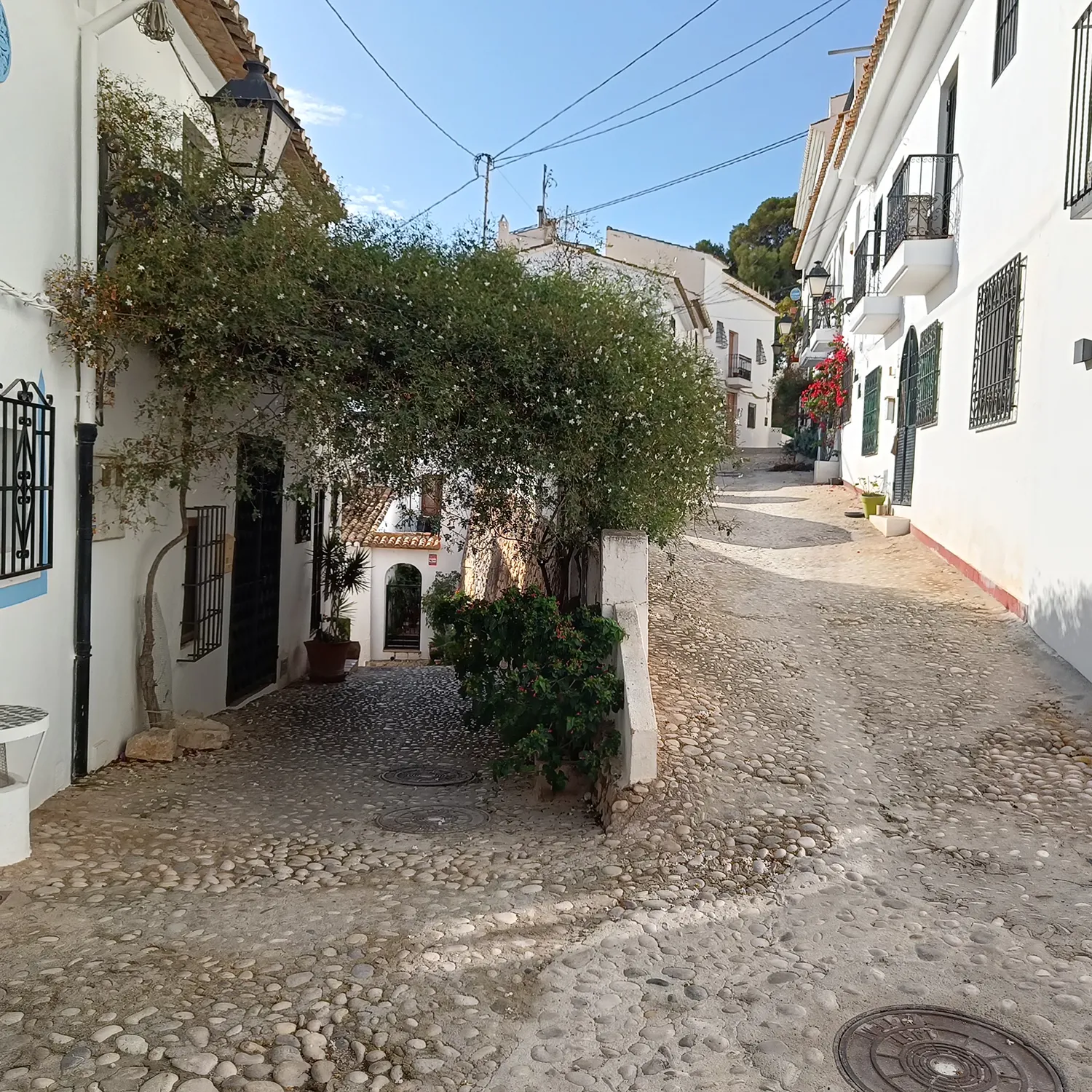 Altea