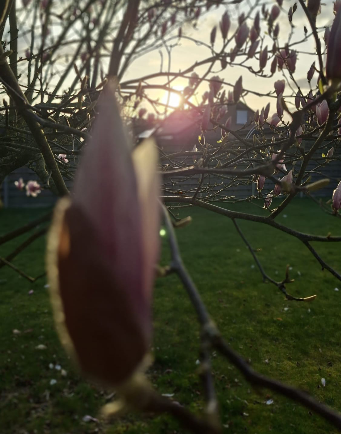 Een ochtend in Árbol